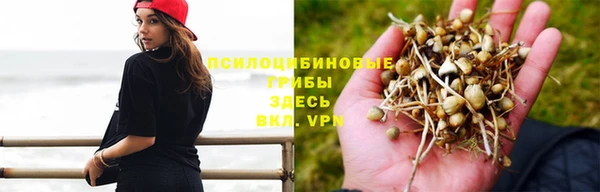 прущий лед Вязьма