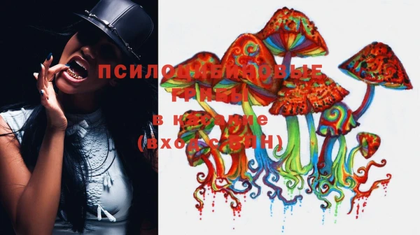 шишки Алексеевка